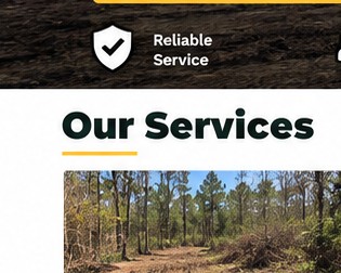 Land clearing work